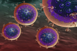 HIV Virus image
